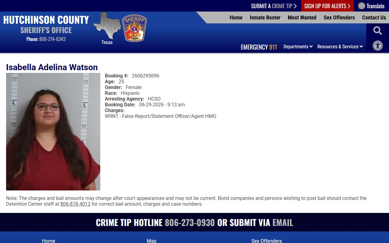 Hutchinson County inmate records sample profile with mugshot charges and booking fields
